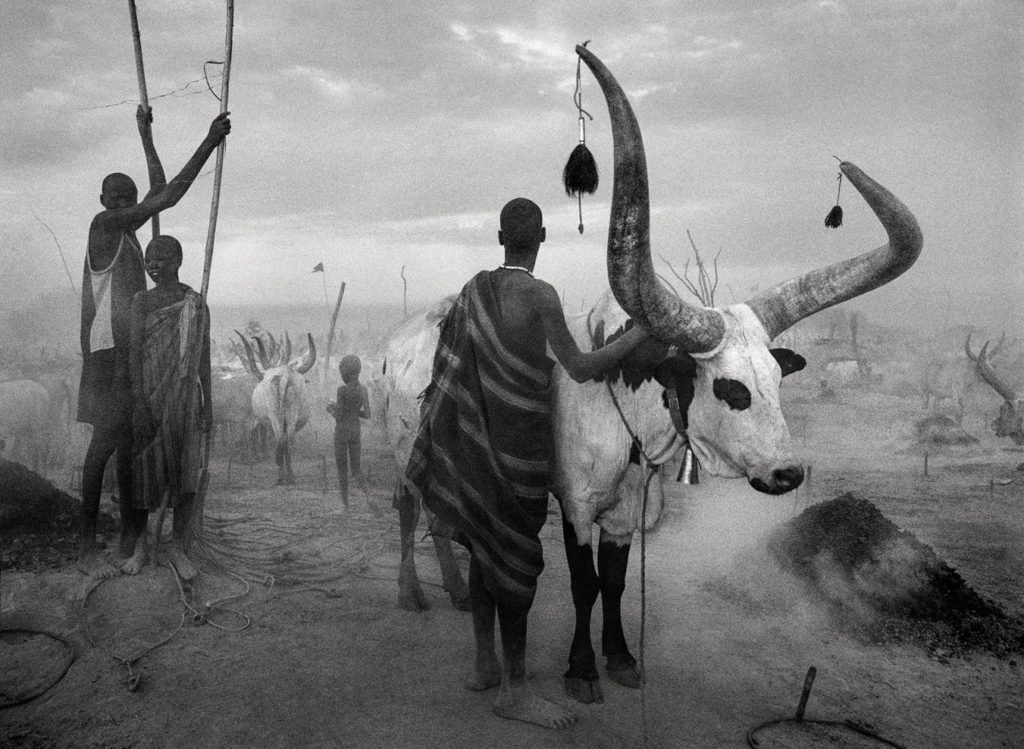 revistaprosaversoearte.com - Tribos africanas no olhar de Sebastião Salgado