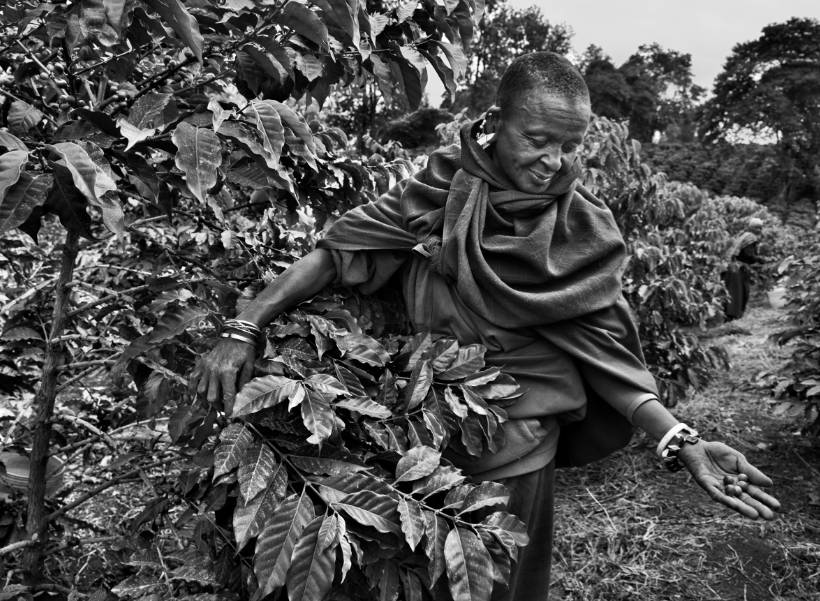 revistaprosaversoearte.com - Tribos africanas no olhar de Sebastião Salgado