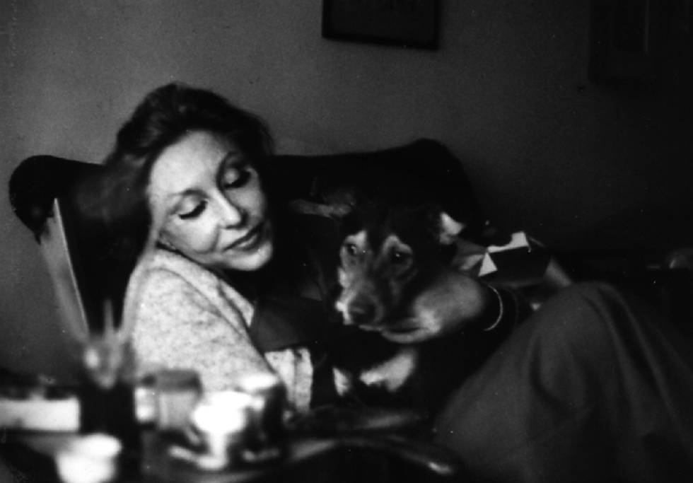 ‘A procura de uma dignidade’, uma crônica instigante de Clarice Lispector