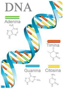 revistaprosaversoearte.com - Poesia, DNA, hemisférios cerebrais, xamanismo e cura