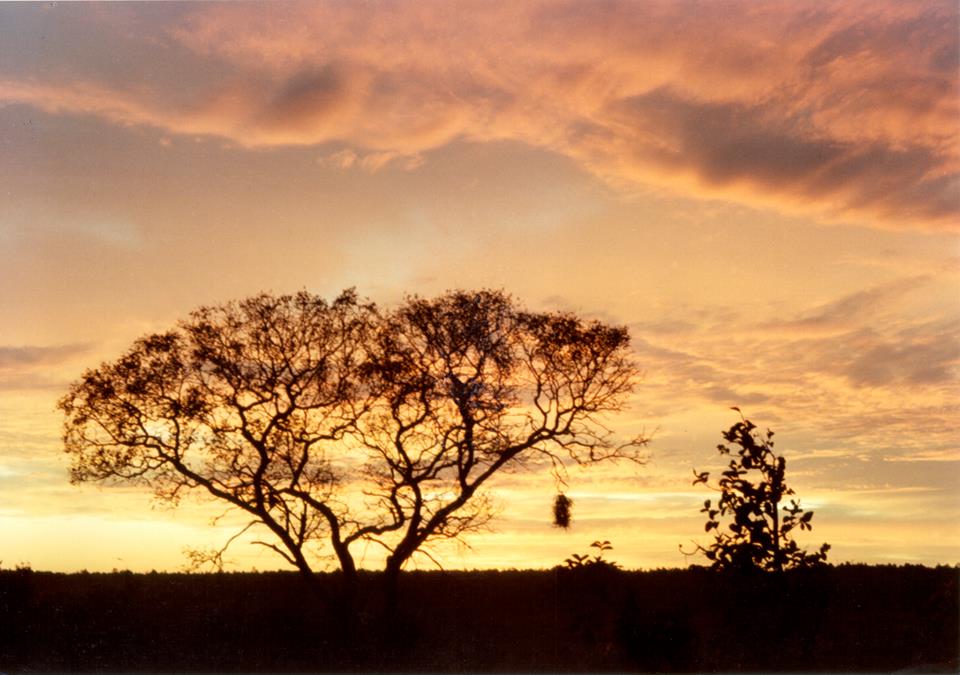 Páramo – João Guimarães Rosa