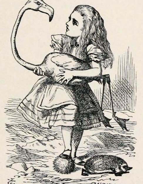 Alice no País das Maravilhas, de Lewis Carrol – ilustração Sir John Tenniel5