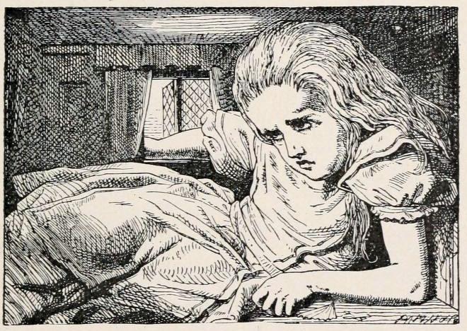 Alice’s adventures in wonderland, Lewis Carrol, illustrated Sir John Tenniel 9