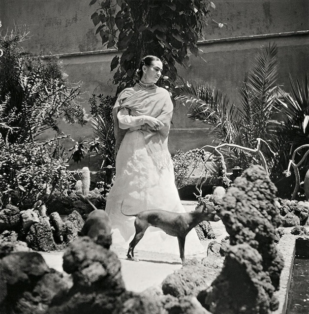 revistaprosaversoearte.com - Fotos raras mostram Frida Kahlo em seus últimos dias de vida