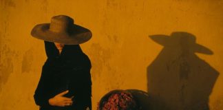 A alma humana é vítima tão inevitável da dor… – Bernardo Soares (Fernando Pessoa)