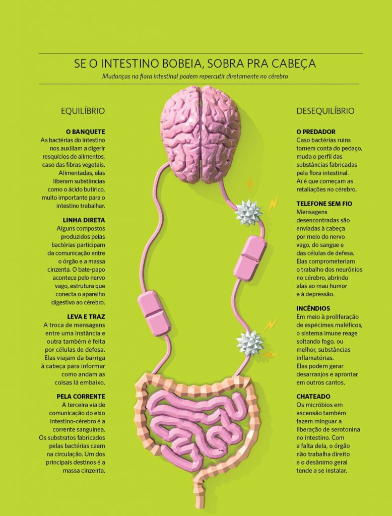 revistaprosaversoearte.com - A incrível conexão cérebro-intestino