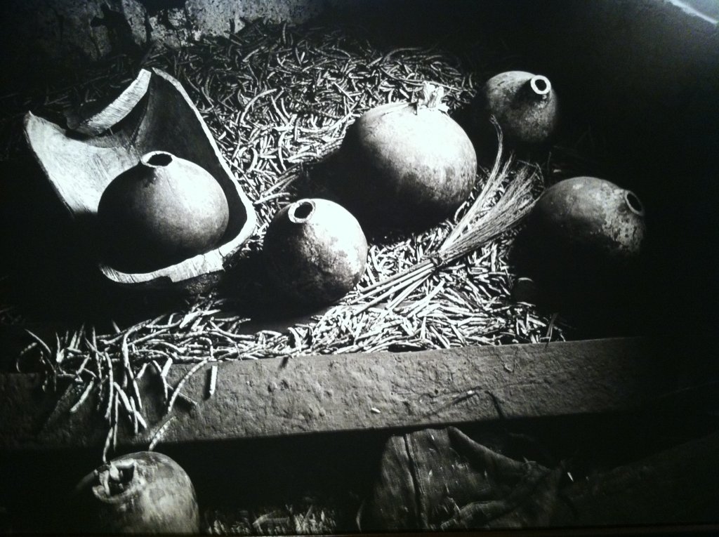 revistaprosaversoearte.com - A João Guimarães Rosa: fotografias de Maureen Bisilliat