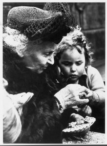 revistaprosaversoearte.com - 'O interesse em educar a humanidade deve estabelecer laços mais íntimos' - Maria Montessori