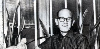 Carlos Drummond de Andrade: erotismo, poesia e psicanálise