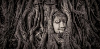 A escultura de 700 anos que está sendo ‘engolida’ por árvores