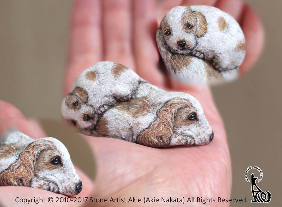 revistaprosaversoearte.com - Akie Nakata, artista japonesa transforma pedras em arte e o resultado é incrível!