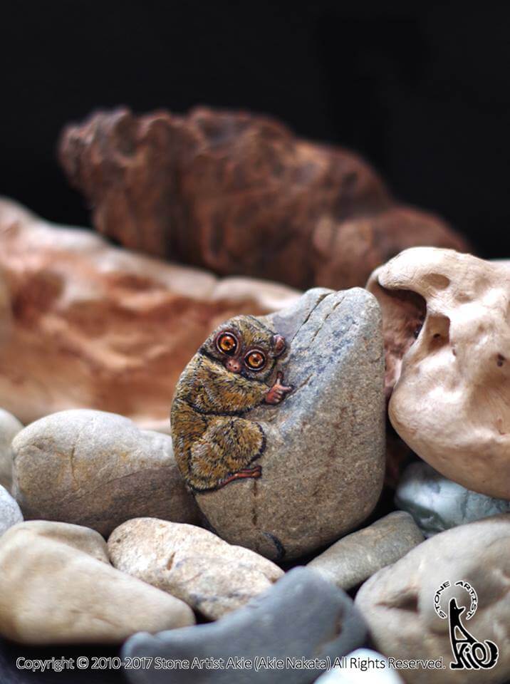 revistaprosaversoearte.com - Akie Nakata, artista japonesa transforma pedras em arte e o resultado é incrível!