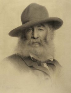 revistaprosaversoearte.com - Walt Whitman - poemas