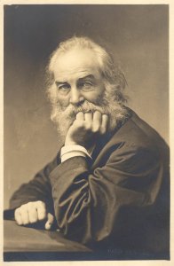 revistaprosaversoearte.com - Walt Whitman - poemas