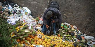 Embrapa alerta: o desperdício de alimentos chega a R$ 1 mil por família em um ano