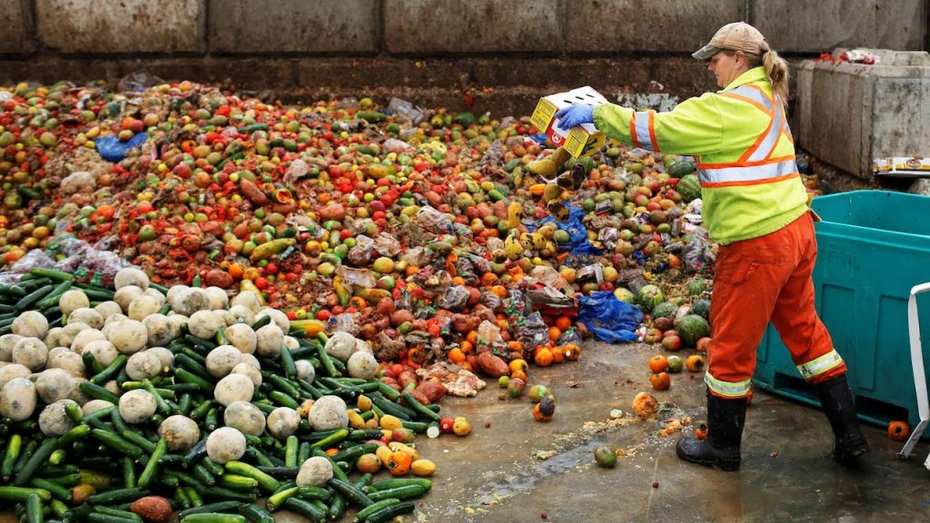 revistaprosaversoearte.com - Embrapa alerta: o desperdício de alimentos chega a R$ 1 mil por família em um ano