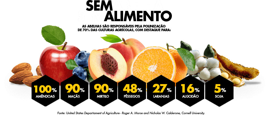 revistaprosaversoearte.com - A import&acirc;ncia das Abelhas e porque precisamos delas
