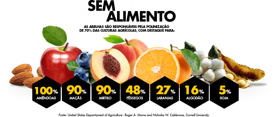 revistaprosaversoearte.com - A importância das Abelhas e porque precisamos delas