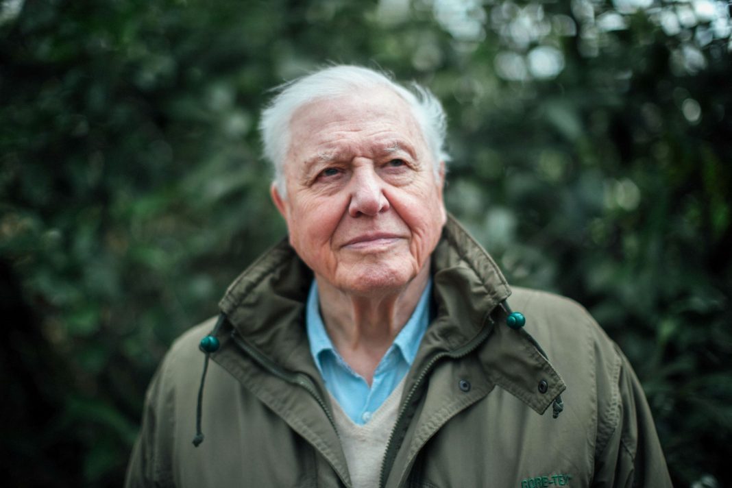 “Estamos diante da possibilidade real de uma sexta extinção em massa”, afirma o cientista David Attenborough