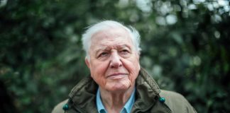 “Estamos diante da possibilidade real de uma sexta extinção em massa”, afirma o cientista David Attenborough