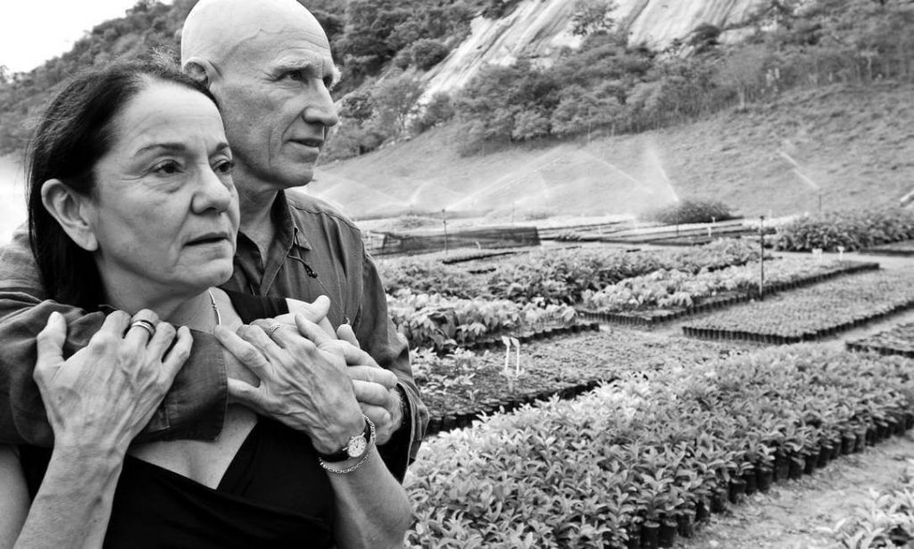 revistaprosaversoearte.com - Sebastião Salgado e a natureza intocada em 'Gênesis'