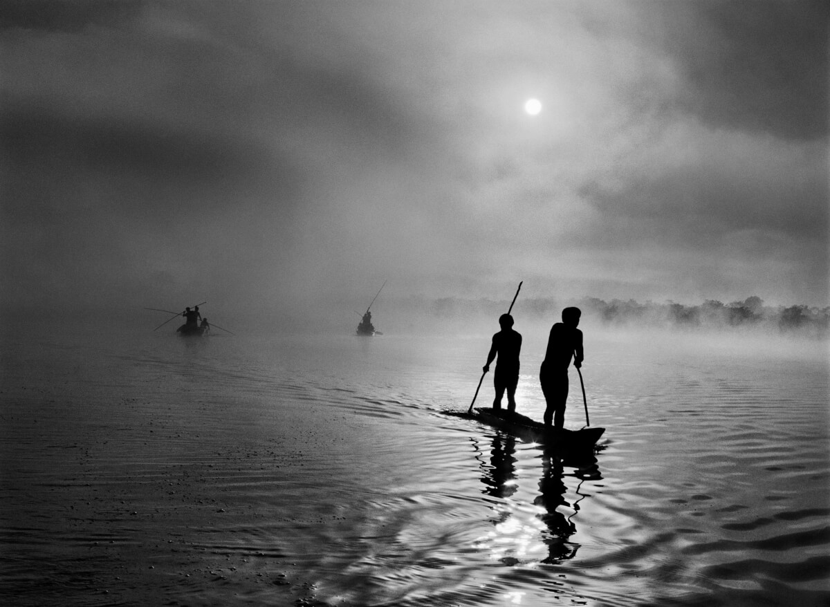 revistaprosaversoearte.com - Sebastião Salgado e a natureza intocada em 'Gênesis'