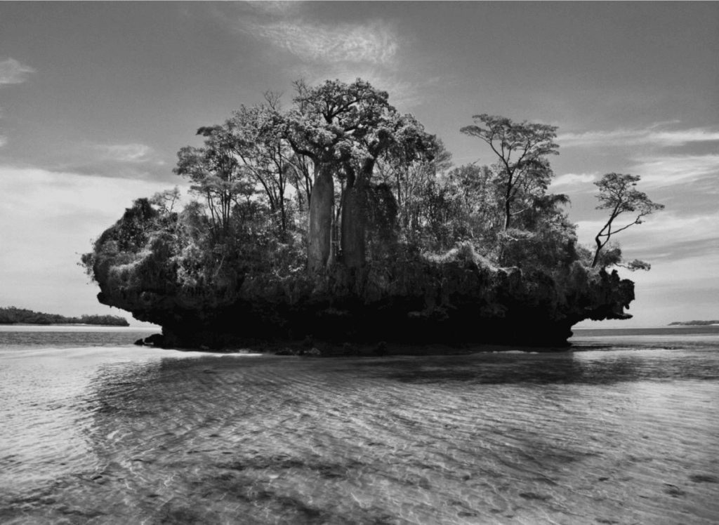 revistaprosaversoearte.com - Sebastião Salgado e a natureza intocada em 'Gênesis'