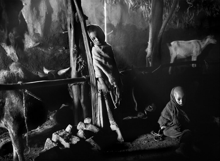 revistaprosaversoearte.com - Sebastião Salgado e a natureza intocada em 'Gênesis'