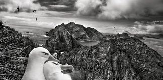 Sebastião Salgado e a natureza intocada em ‘Gênesis’