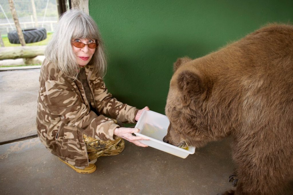 revistaprosaversoearte.com - Rita Lee: 'Bichos não são objetos pessoais dos humanos, eles têm sentimentos como nós'