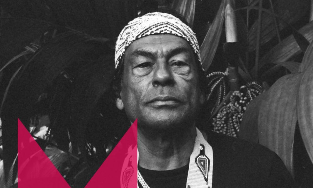 “A vida não é útil”. uma reflexão de Ailton Krenak