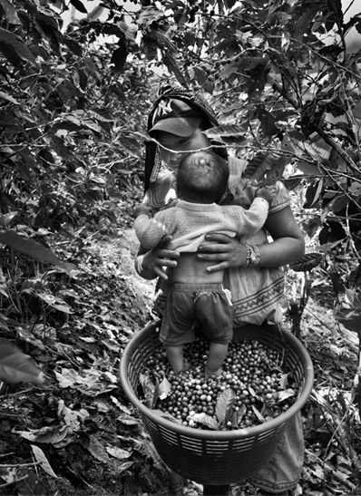 revistaprosaversoearte.com - Sebastião Salgado: Perfume de sonho - uma viagem ao mundo do café