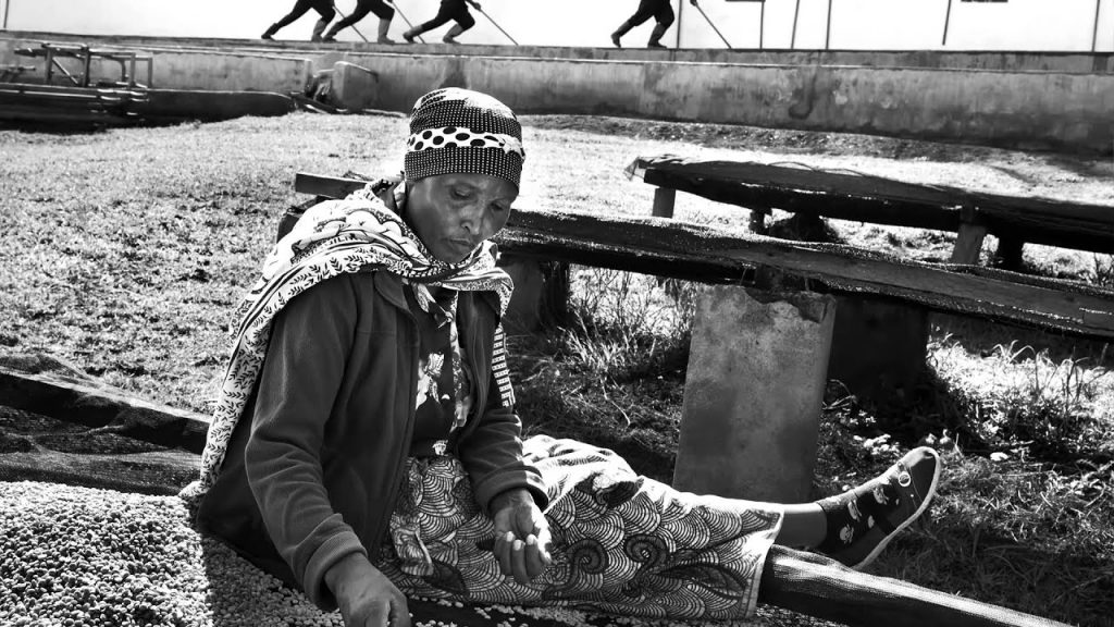 revistaprosaversoearte.com - Sebastião Salgado: Perfume de sonho - uma viagem ao mundo do café