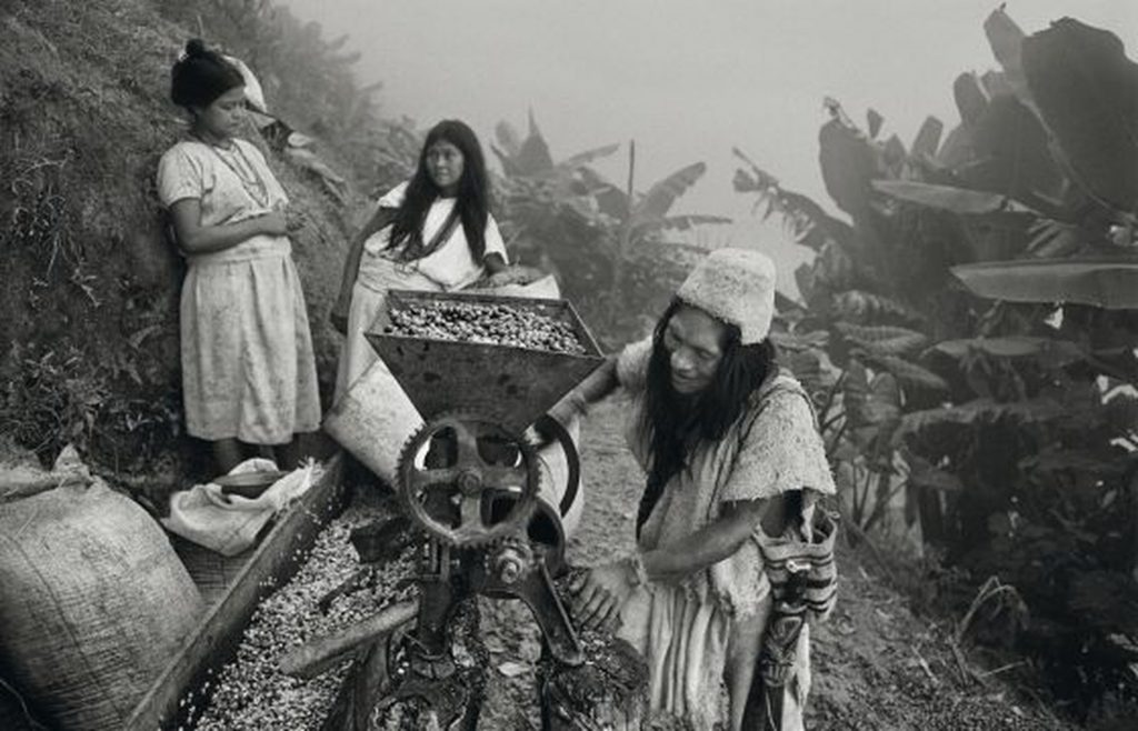 revistaprosaversoearte.com - Sebastião Salgado: Perfume de sonho - uma viagem ao mundo do café