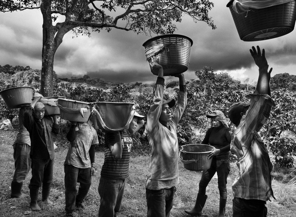 revistaprosaversoearte.com - Sebastião Salgado: Perfume de sonho - uma viagem ao mundo do café