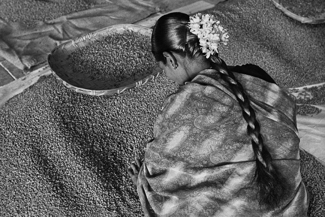 Sebastião Salgado: Perfume de sonho – uma viagem ao mundo do café