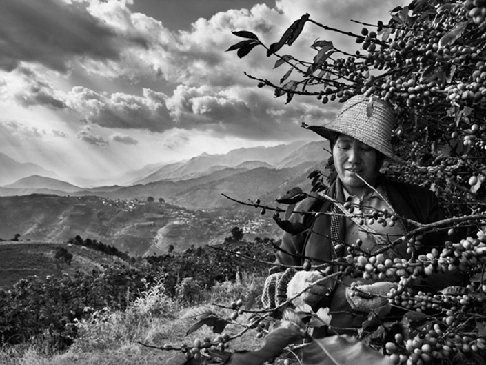 revistaprosaversoearte.com - Sebastião Salgado: Perfume de sonho - uma viagem ao mundo do café