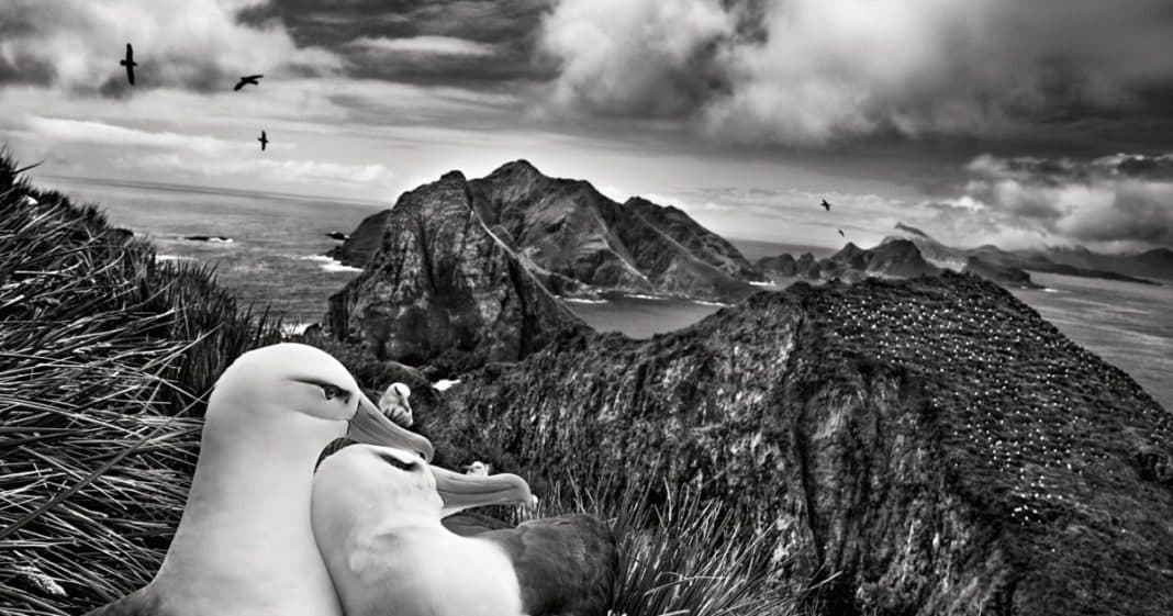 Sebastião Salgado e a natureza intocada em ‘Gênesis’