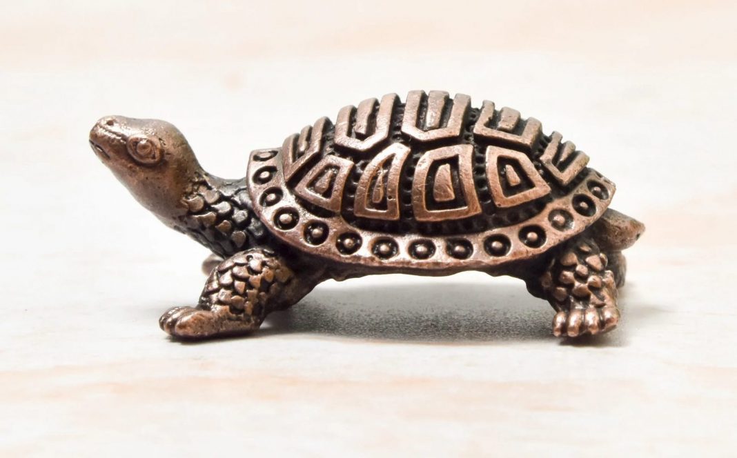 A tartaruga tagarela, um conto indiano fabuloso