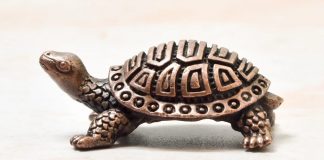 A tartaruga tagarela, um conto indiano fabuloso