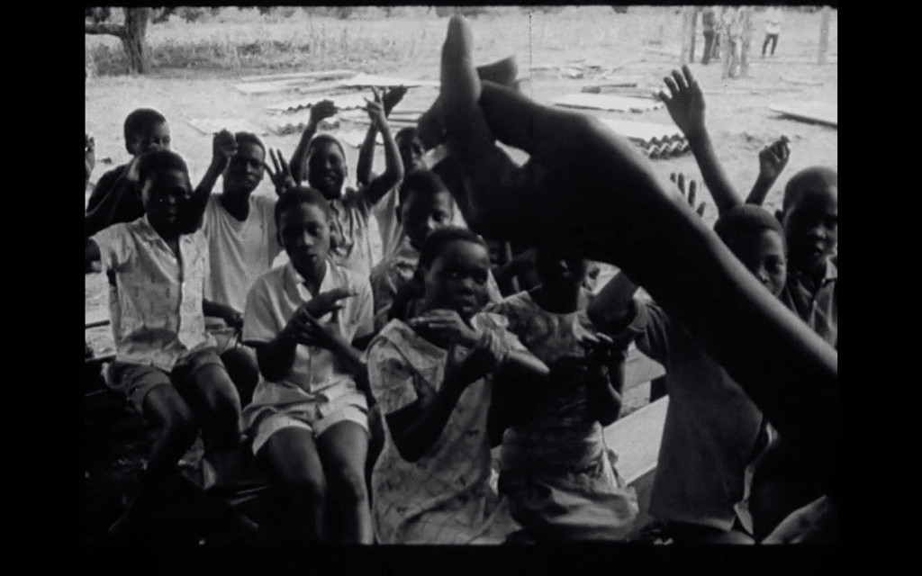 revistaprosaversoearte.com - Mostra Ecofalante de Cinema chega &agrave; 12&ordf; edi&ccedil;&atilde;o com 101 filmes de 39 pa&iacute;ses