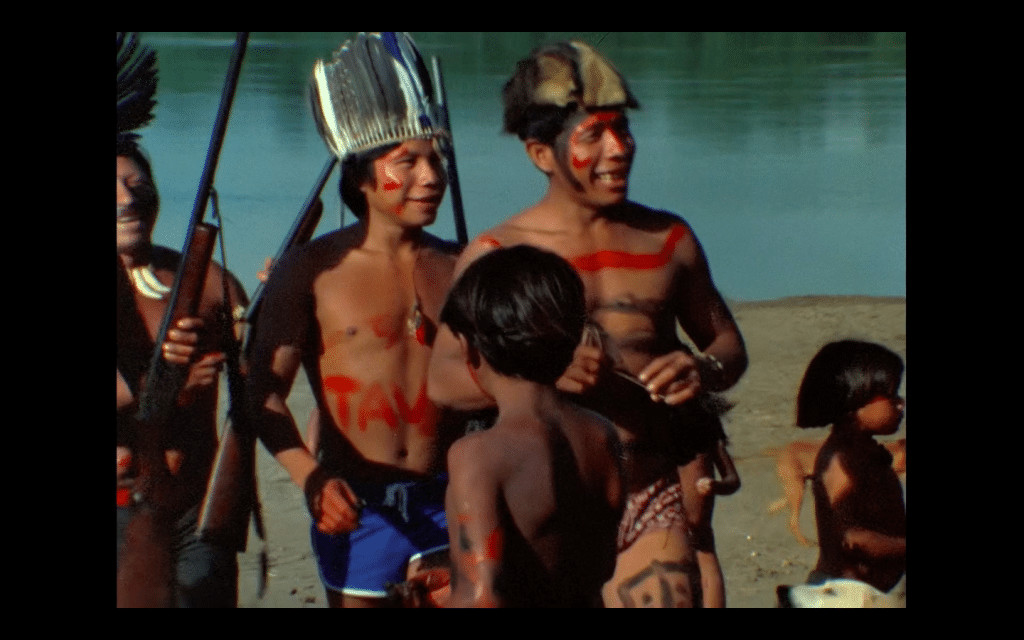 revistaprosaversoearte.com - Mostra Ecofalante de Cinema chega &agrave; 12&ordf; edi&ccedil;&atilde;o com 101 filmes de 39 pa&iacute;ses
