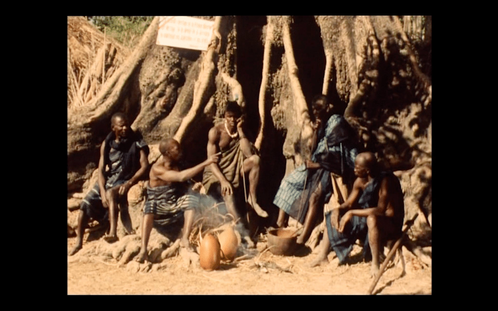 revistaprosaversoearte.com - Mostra Ecofalante de Cinema chega &agrave; 12&ordf; edi&ccedil;&atilde;o com 101 filmes de 39 pa&iacute;ses
