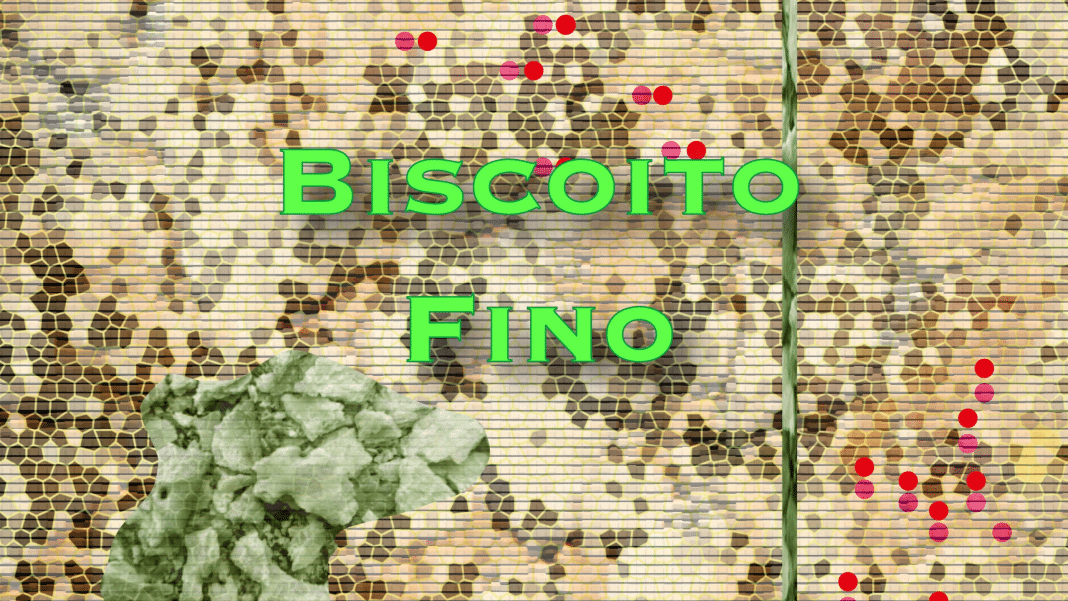Grandes nomes da música popular brasileira reunidos no álbum ‘Biscoito Fino’