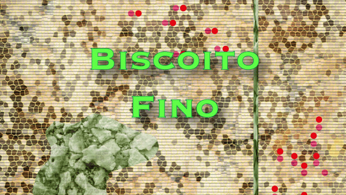 Grandes nomes da música popular brasileira reunidos no álbum ‘Biscoito Fino’