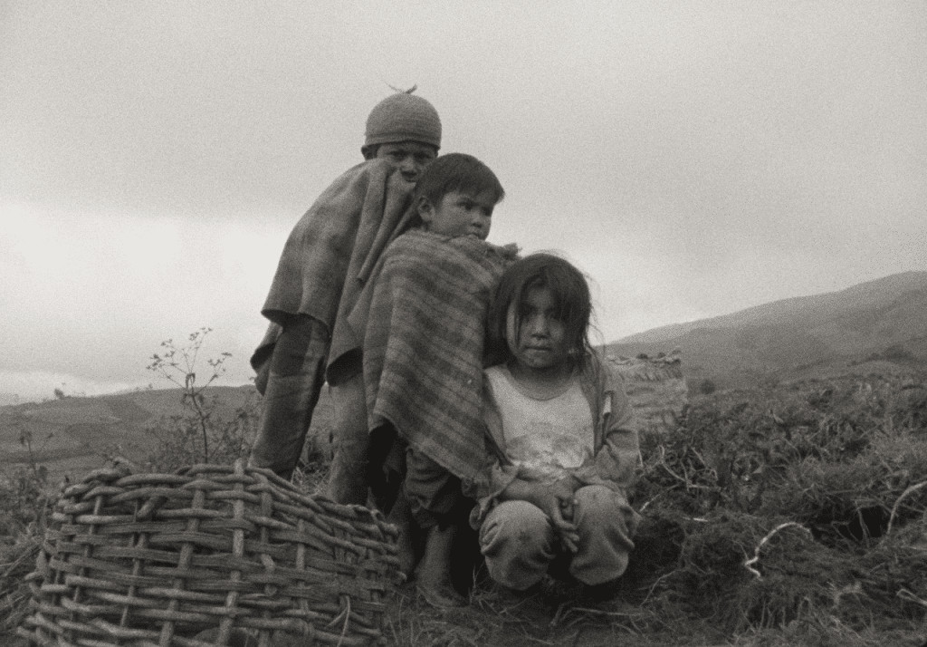revistaprosaversoearte.com - Mostra Ecofalante de Cinema chega &agrave; 12&ordf; edi&ccedil;&atilde;o com 101 filmes de 39 pa&iacute;ses