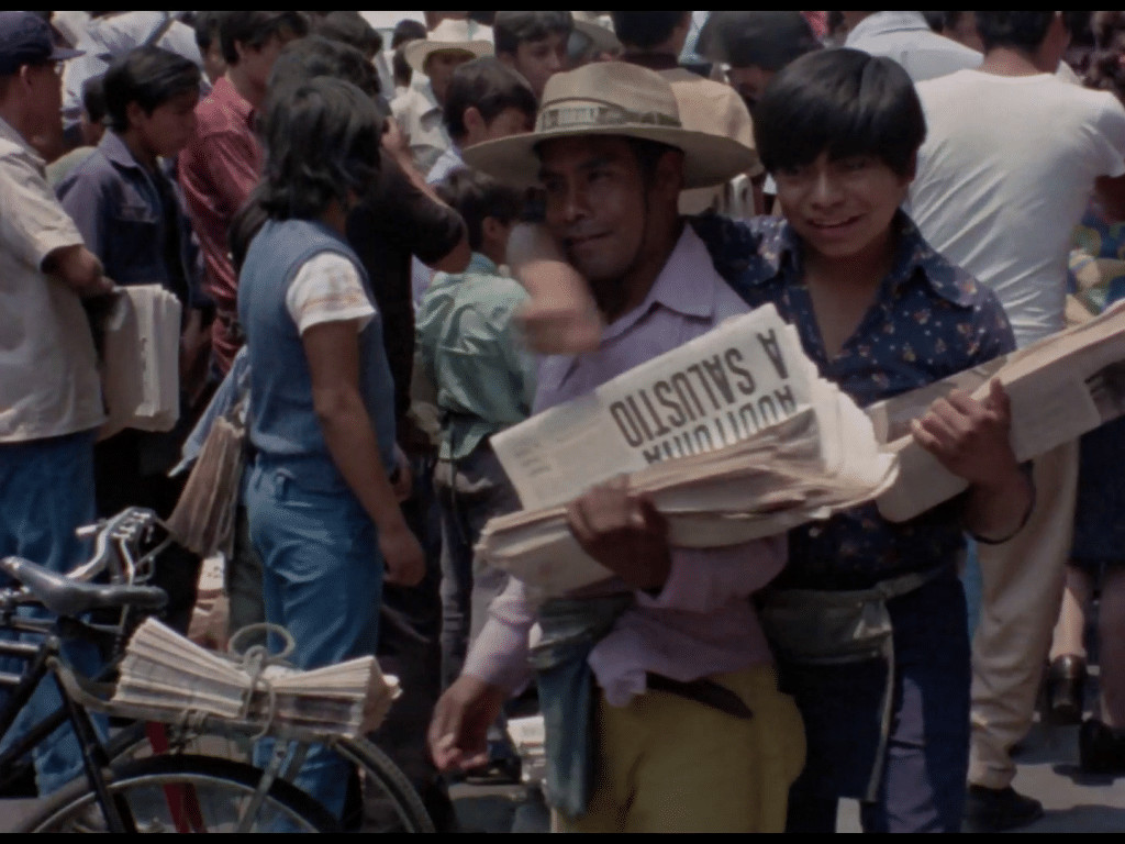 revistaprosaversoearte.com - Mostra Ecofalante de Cinema chega &agrave; 12&ordf; edi&ccedil;&atilde;o com 101 filmes de 39 pa&iacute;ses