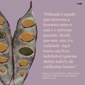 revistaprosaversoearte.com - Luís Henrique Pellanda lança pela Maralto o livro de contos "O caçador chegou tarde"