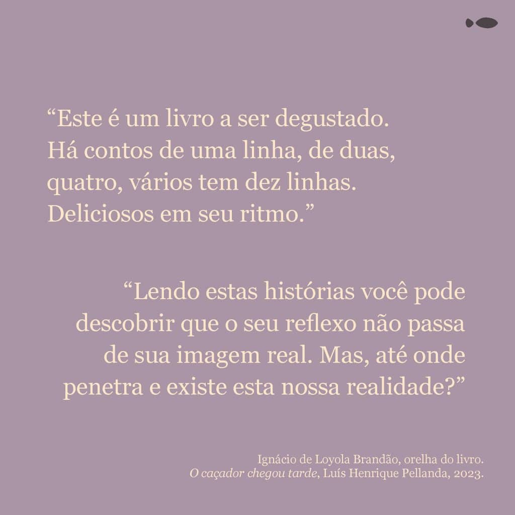 revistaprosaversoearte.com - Luís Henrique Pellanda lança pela Maralto o livro de contos "O caçador chegou tarde"