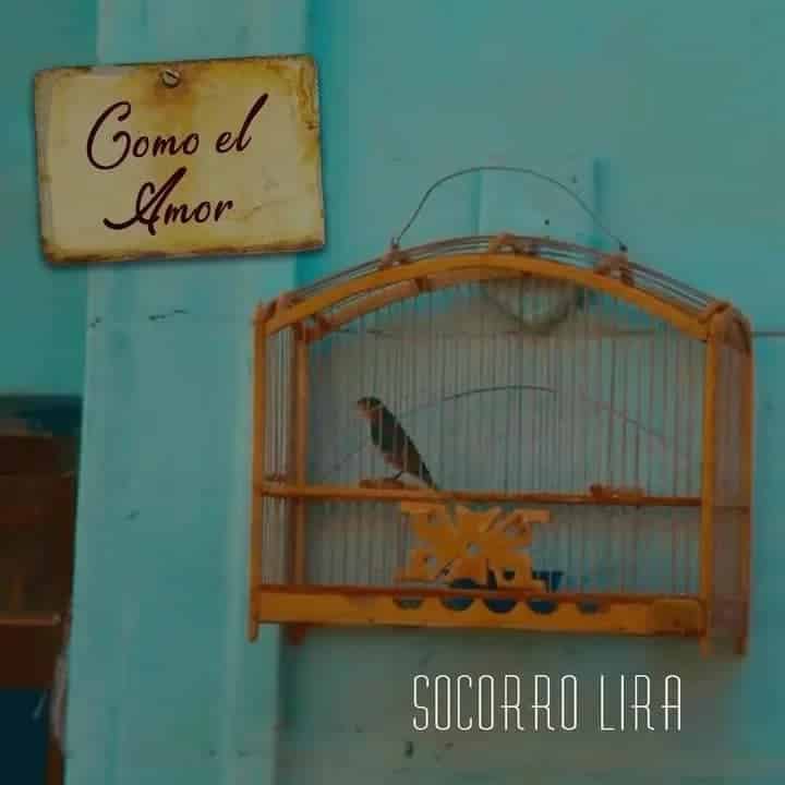 revistaprosaversoearte.com - Socorro Lira apresenta 'Dharma', seu 15º álbum de carreira